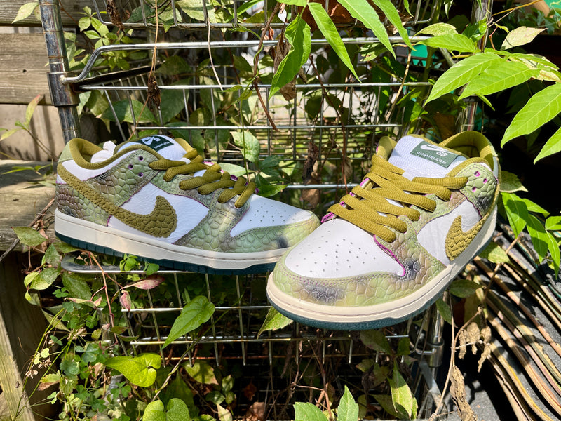 image_123650291_d3485b77-e30d-