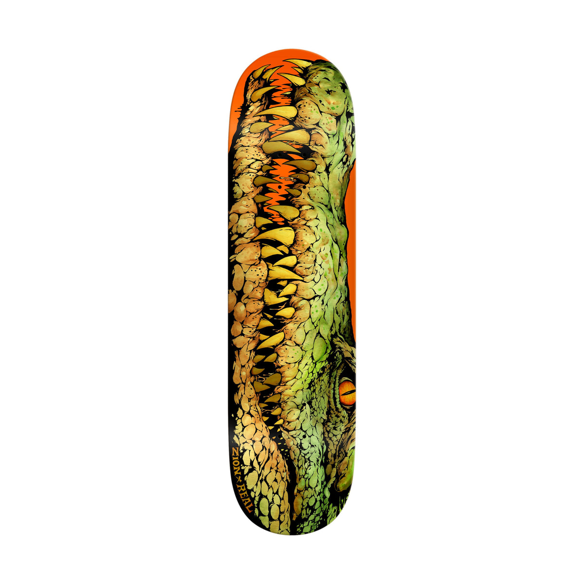 Real Zion Swamp Puppy 8.28" Heavyweight Deck - Venue Skateboards