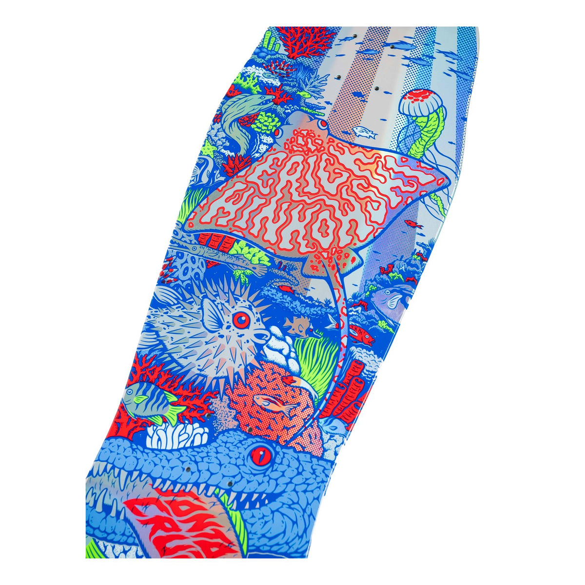 Santa Cruz Winkowski Aquatic Pro Shaped 10.34" Deck - Venue 