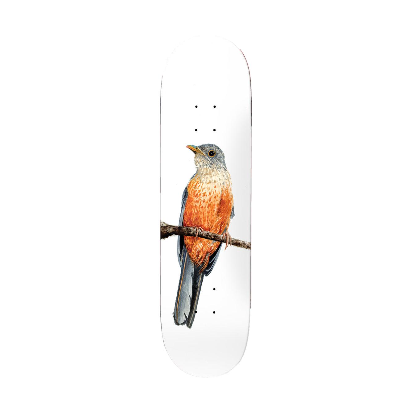Deathwish Yuri Facchini Sabia-Laranjeira Deck 8.125' - Venue Skateboards