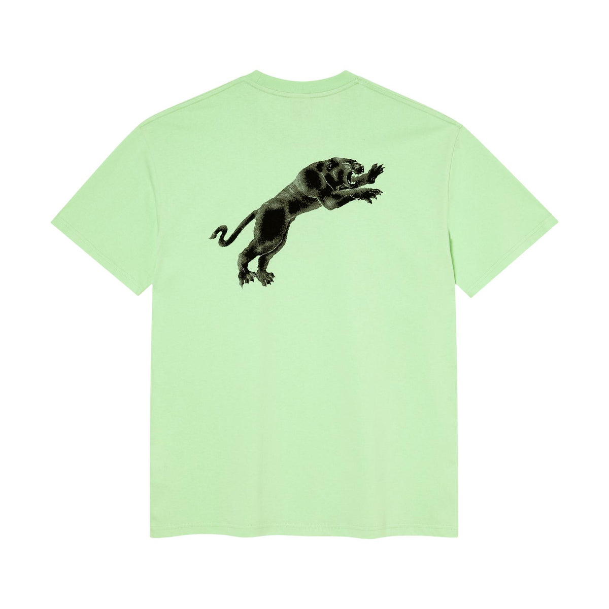 Polar Tape and Panther Tee Mint Green - Venue Skateboards