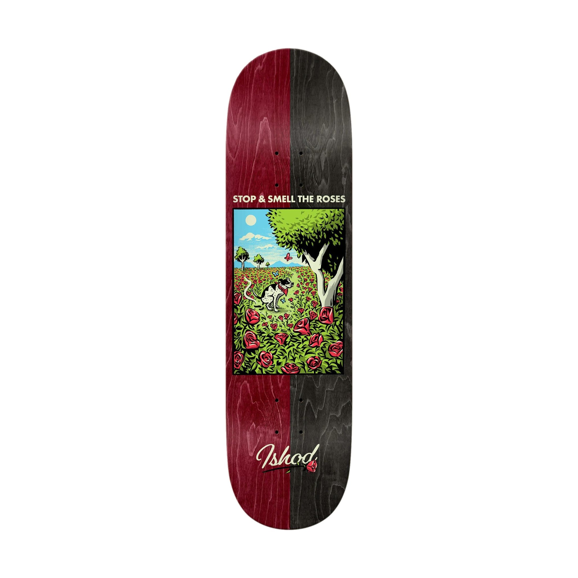 Real Ishod Brightside TF 8.38" Deck - Venue Skateboards