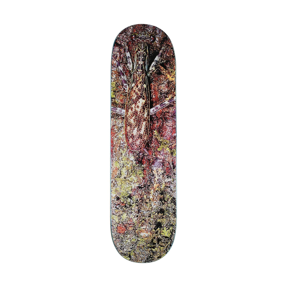 Glue Cryptic 8.625&quot; Deck - Venue Skateboards
