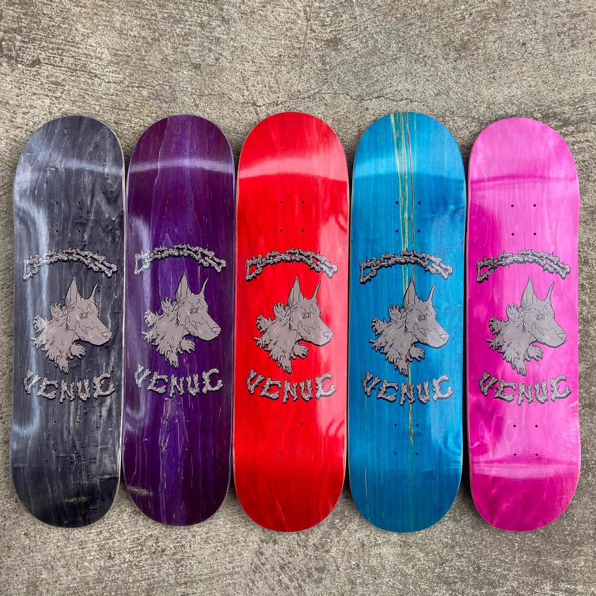 Venue Skateboards Dog Deck